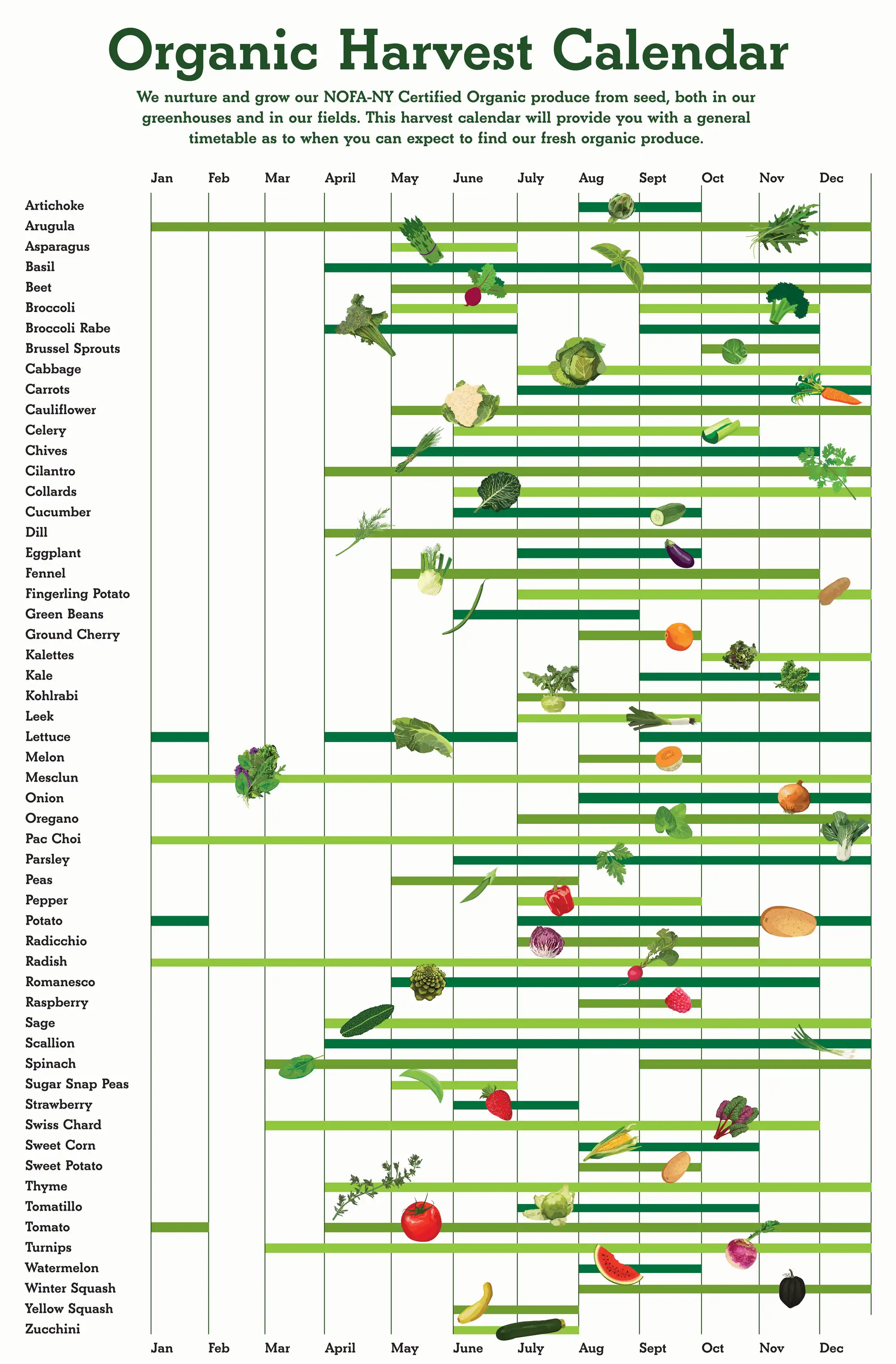 Organic Harvest Calendar with detailed month-by-month availability chart for all our produce